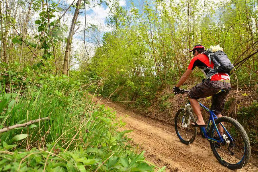 Is a Mountain Bike Good for Touring? (READ THIS FIRST) Sport Tasty